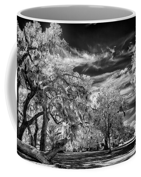 Black & White Coffee Mug featuring the photograph Southern Charm by DBHayes by DB Hayes