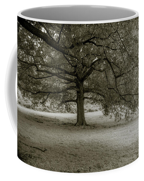 Tree Coffee Mug featuring the photograph Southern Tree Inspired by Sally Mann by Liz Albro