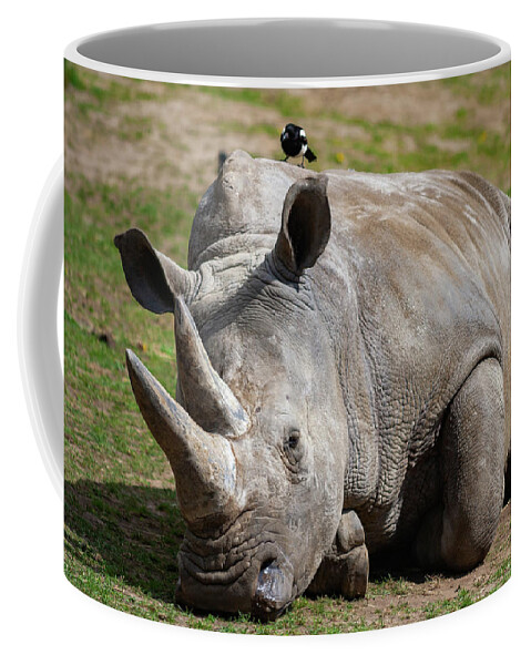 Southern Coffee Mug featuring the photograph Southern White Rhinoceros by Artur Bogacki