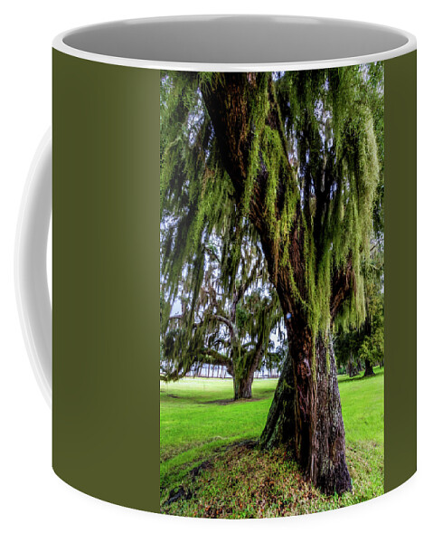 Tree Coffee Mug featuring the photograph Spanish Moss in the Trees by Debra and Dave Vanderlaan