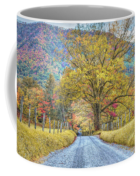 Barns Coffee Mug featuring the photograph Sparks Lane in Autumn at Cades Cove Townsend Tennessee by Debra and Dave Vanderlaan