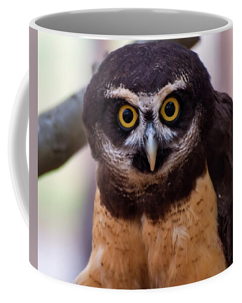 Pulsatrix Perspicillata Coffee Mug featuring the digital art Spectacled owl by Flees Photos