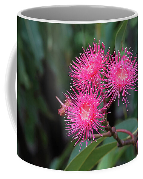 Blossoms Coffee Mug featuring the photograph Spectacular Pink by Maryse Jansen