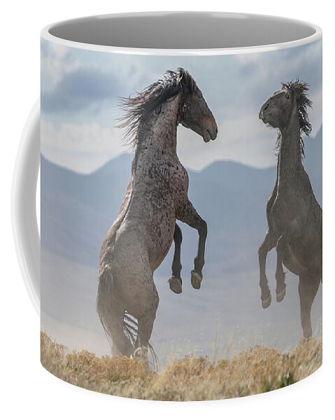 Stallion Coffee Mug featuring the photograph Spectacular Stallions. by Paul Martin