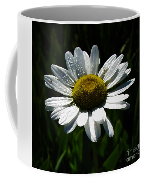 Spectacular Coffee Mug featuring the photograph Spectacular White Daisy for Home Decor Wall Art by Delynn Addams