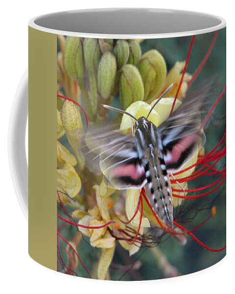Sphinx Moth Coffee Mug featuring the photograph Sphinx Moth by Perry Hoffman