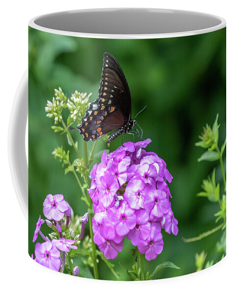 Lenoir Preserve Coffee Mug featuring the photograph Spicebush Swallowtail by Kevin Suttlehan