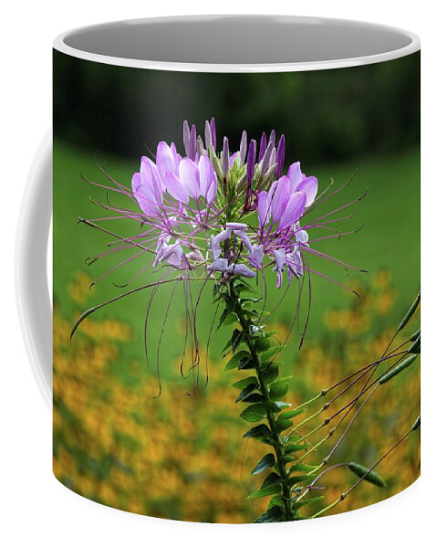 Flower Coffee Mug featuring the photograph Spider Flower by Ron Grafe
