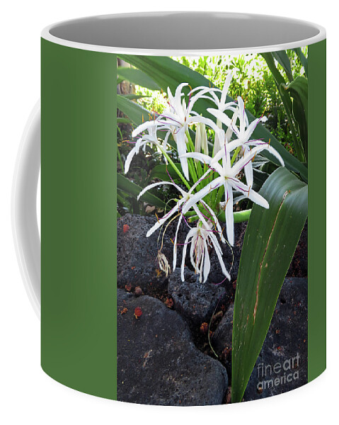 Spider Lily Coffee Mug featuring the photograph Spider Lily by Cindy Murphy