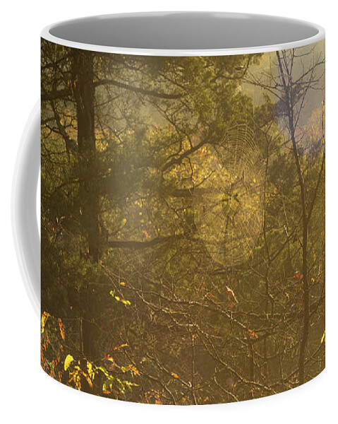 Spiderweb Coffee Mug featuring the photograph Spiderweb Forest Sunrise by Jennifer White