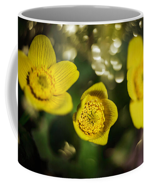  Coffee Mug featuring the photograph Sping Sunnies by Nicole Engstrom