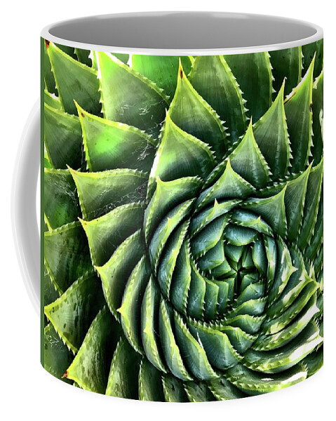  Coffee Mug featuring the photograph Spiral Succulent by Julie Gebhardt