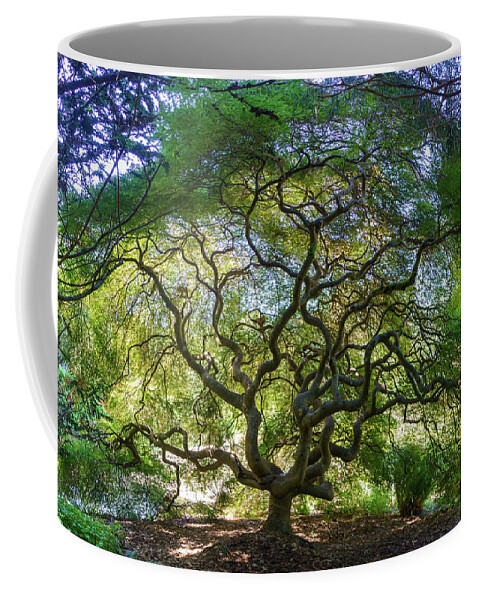 Kubota Gardens Coffee Mug featuring the photograph Spirit Tree I by Larey McDaniel