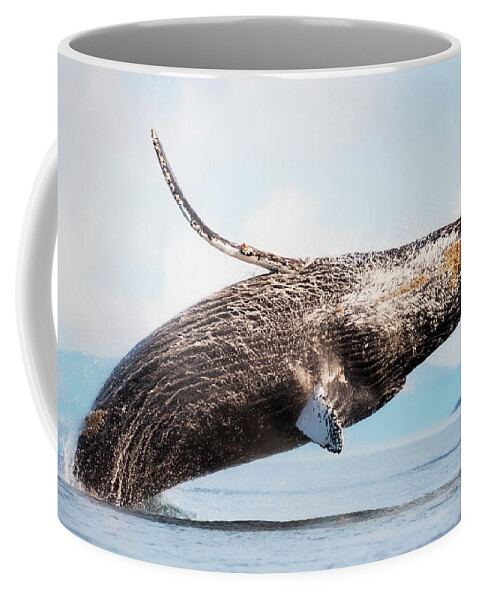 Splash Heard Around The World Coffee Mug featuring the photograph Splash Heard Around The World - Whale Art by Jordan Blackstone