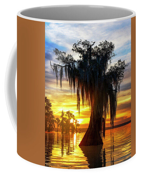 Atchafalaya Basin Coffee Mug featuring the photograph Splendor by Andy Crawford
