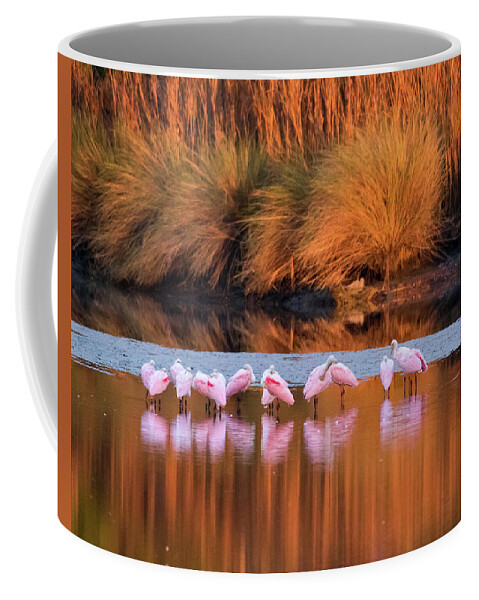 Roseate Spoonbills Coffee Mug featuring the photograph Spoonbills at Dawn by Jim Miller