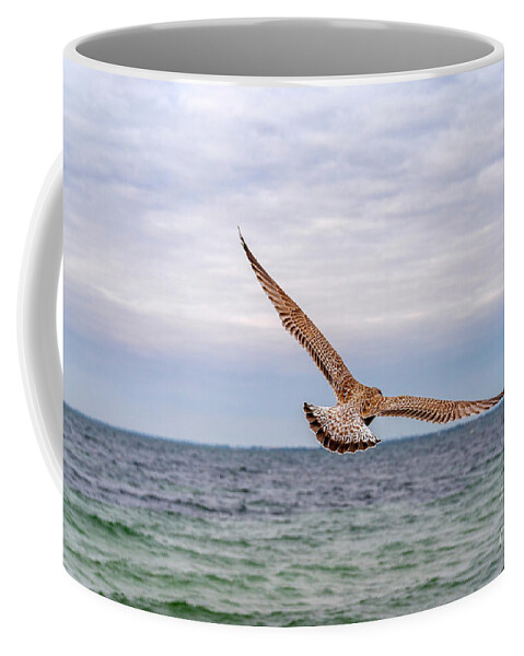 Birds Coffee Mug featuring the photograph Spread your Wings... and fly away. by Daniel M Walsh