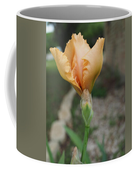 Orange Coffee Mug featuring the photograph Spring Bloom 11 by C Winslow Shafer