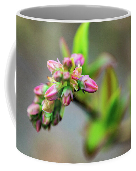 Plant Coffee Mug featuring the photograph Spring Buds - Pink by Amelia Pearn
