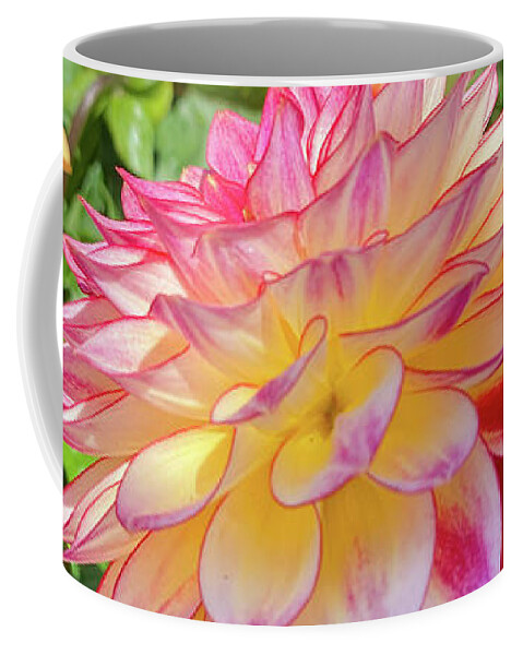 Dahlia Coffee Mug featuring the photograph Spring Dahlia by Cathy Donohoue