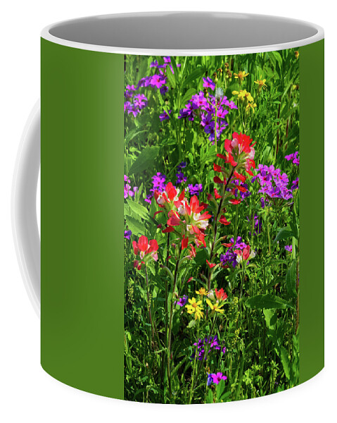 Texas Wildflowers Coffee Mug featuring the photograph Spring Gems by Lynn Bauer