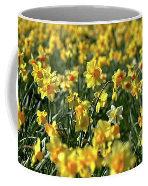 Flower Coffee Mug featuring the photograph Spring has sprung by Stephen Melia