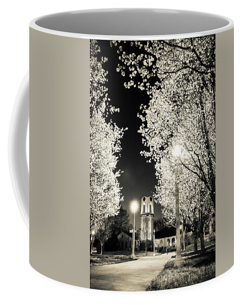 Forest Park Coffee Mug featuring the photograph Spring in Forest Park by Randall Allen