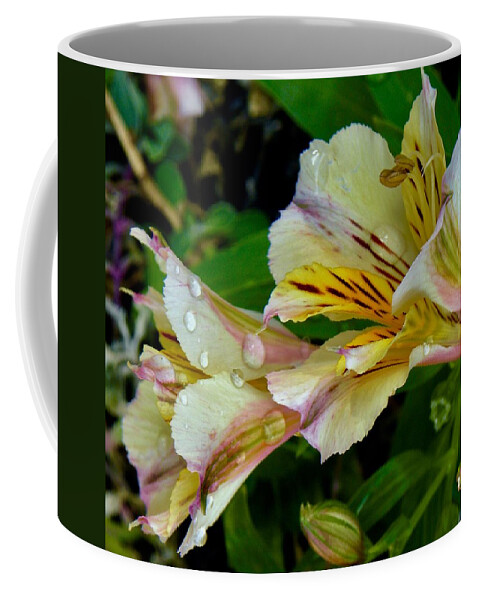 Flowers Coffee Mug featuring the photograph Two Blooms by Kerry Obrist