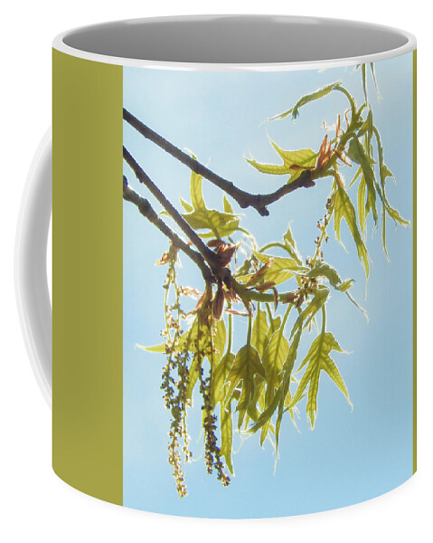 Spring Coffee Mug featuring the photograph Spring Oak Leaves by Karen Rispin