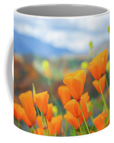 California Poppy Coffee Mug featuring the photograph Spring Poppies Walker Canyon by Kyle Hanson