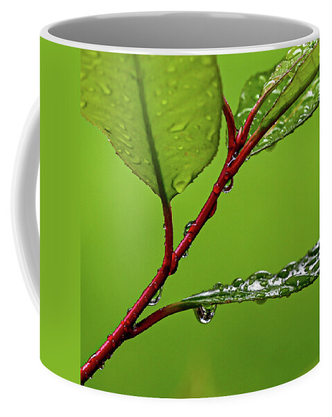 Spring Coffee Mug featuring the photograph Spring Rain by Kevin Suttlehan