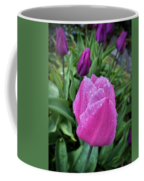 Pink Coffee Mug featuring the photograph Spring Raindrops on Pink Tulips by Jerry Abbott