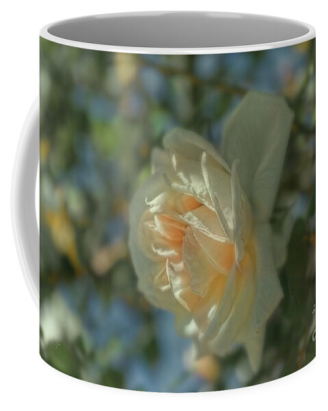 Rose Coffee Mug featuring the photograph Spring Rose by Elaine Teague