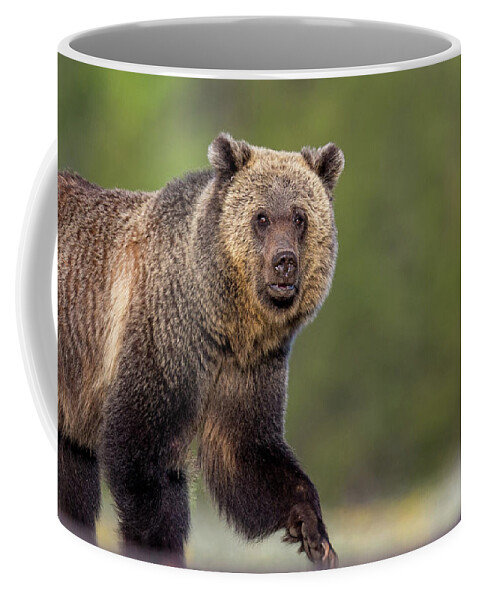  Coffee Mug featuring the photograph Spring Strut by Kevin Dietrich