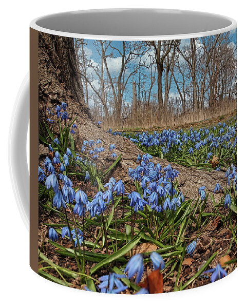Spring Time Flowers Coffee Mug featuring the photograph Spring Time Flowers by Scott Olsen