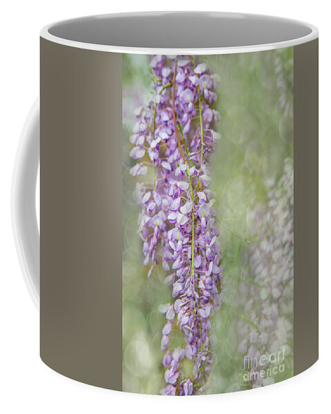 Sunnylea Coffee Mug featuring the photograph Spring Waltz of the Wisteria by Marilyn Cornwell