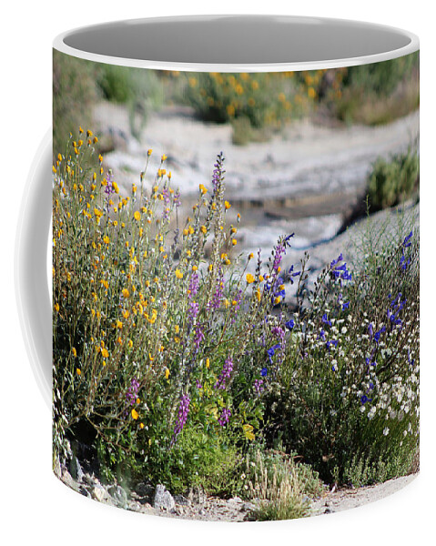 Yellow Coffee Mug featuring the photograph Spring Wildflowers at the Coachella Valley Wildlife Preserve by Colleen Cornelius