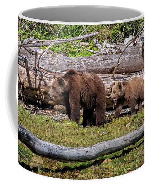Springtime Grizzly Bears Coffee Mug featuring the photograph Springtime Grizzly Bears by Jordan Blackstone
