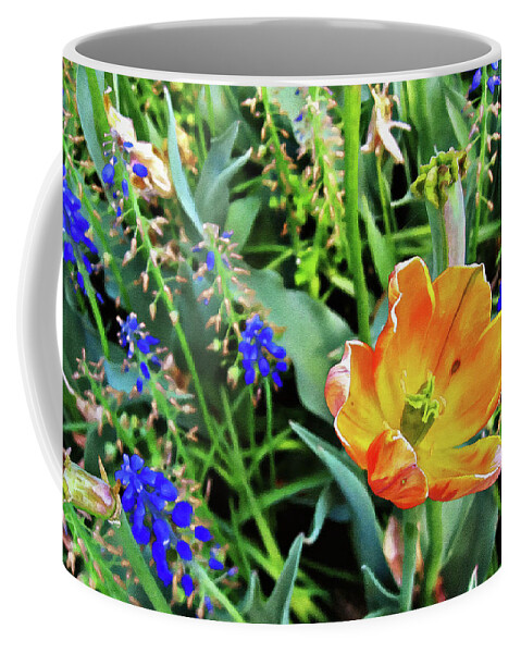 Springtime Coffee Mug featuring the photograph Springtime in the garden by Tatiana Travelways