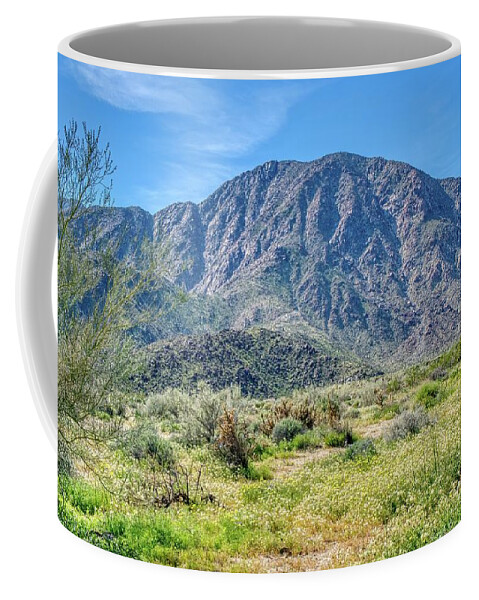 Arid Coffee Mug featuring the photograph Springtime wildflowers in Borrego Springs California. by Kenneth Roberts