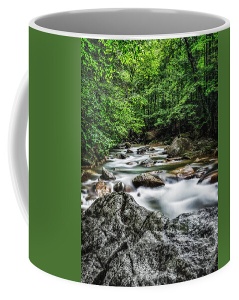 Basin Trail Nh Coffee Mug featuring the photograph Springtime,Basin Trail NH by Michael Hubley