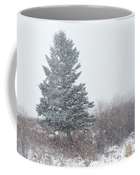 Snow Coffee Mug featuring the photograph Spruce tree on a snowy day by Karen Rispin