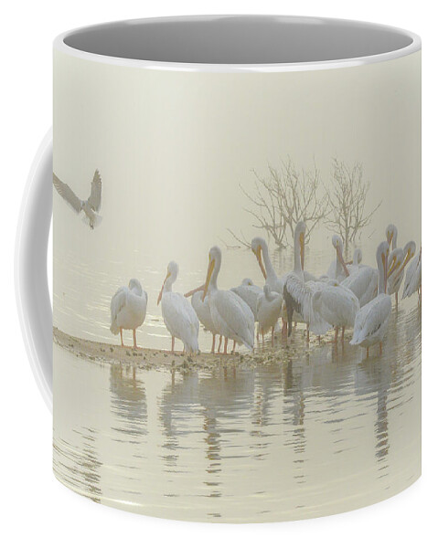 White Coffee Mug featuring the photograph Squadron in the Fog by Christopher Rice
