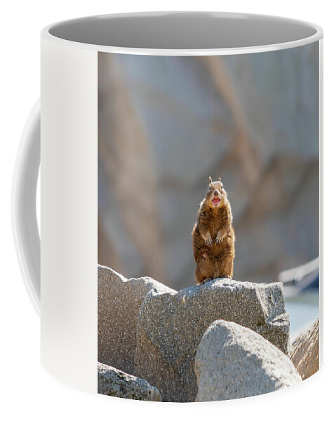 Ground Squirrel Coffee Mug featuring the photograph Squeaky The Sand Squirrel by Mike-Hope