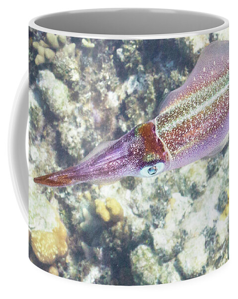 Squid Coffee Mug featuring the photograph Squid Pro Quo by Lynne Browne