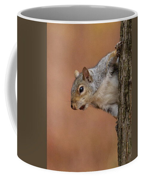 Squirrel Tree Coffee Mug featuring the photograph Squirrel in a Tree by David Morehead