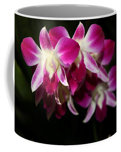 Orchid Coffee Mug featuring the photograph Stacked Orchids by Mingming Jiang