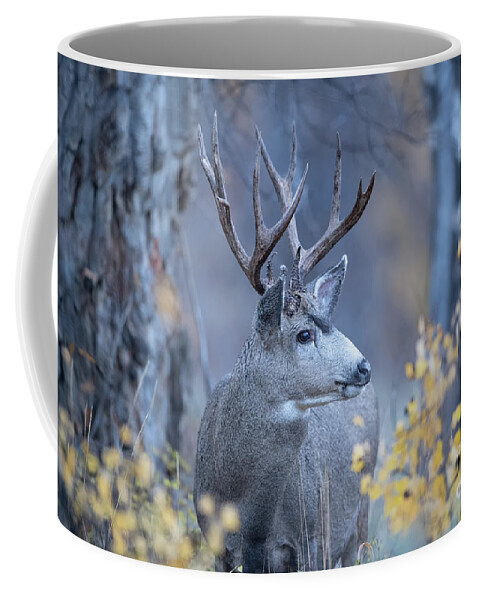 Christmas Stag Coffee Mug featuring the photograph Stag in Autumn Woods by Rehna George