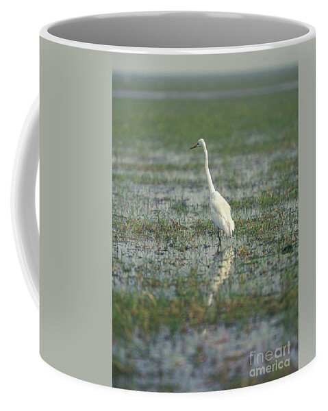 #look # Eyes #birds #feathers #eyes #color #colour #alone #white #swamp Coffee Mug featuring the photograph Standing Alone by Dheeraj Mutha