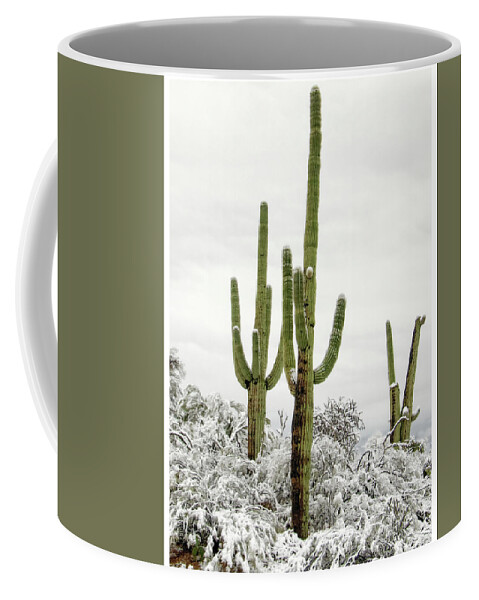 Cactus Coffee Mug featuring the photograph Standing Tall by Elaine Malott
